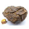 Meteorit NWA X 320 g