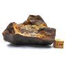 Meteorit NWA X 289 g