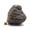 Meteorit NWA X 937 gr.