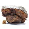 Meteorit NWA X 937 g