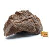 Meteorit NWA X 843 g
