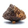 Meteorit NWA X 843 g