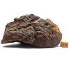 Meteorit NWA X 843 g