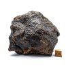 Meteorit NWA X 757 g