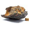 Meteorit NWA X 757 g