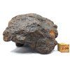 Meteorit NWA X 757 g