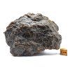 Meteorit NWA X 757 g