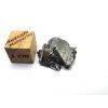 Meteorit Aletai 3,8 g