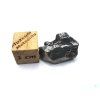 Meteorit Aletai 4,3 gr.