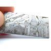 Meteorit Seymchan / 9,1 g / Leptaný řez