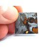 Meteorit Seymchan / 4,4 g / Leptaný řez