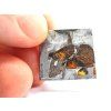 Meteorit Seymchan / 4,4 g / Leptaný řez