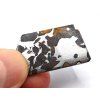 Meteorit Seymchan / 5,5 g / řez