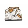 Meteorit Seymchan / 4,2 g / Leptaný řez