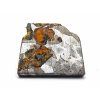 Meteorit Seymchan / 4,2 g / Leptaný řez
