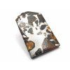 Meteorit Seymchan / 8,3 g / řez