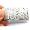 Meteorit Seymchan / 8,0 g / Leptaný řez