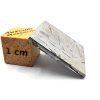 Meteorit Seymchan / 4,2 g / Leptaný řez