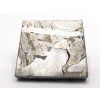 Meteorit Seymchan / 7,9 g / Leptaný řez
