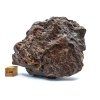 Meteorit NWA X 317 g