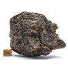 Meteorit NWA X 317 g
