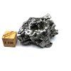 Meteorit Campo del Cielo  39,2 g