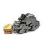 Meteorit Campo del Cielo  44,5 g