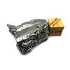 Meteorit Aletai 27,2 g