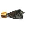 Meteorit Aletai 20,1 g