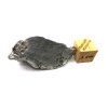 Meteorit Aletai 20,1 g