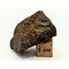 Meteorit NWA X 11,8 g