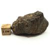 Meteorit NWA X 44,9 g