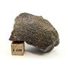Meteorit NWA X 44,9 g