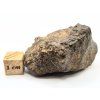 Meteorit NWA X 44,9 g