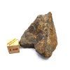 Meteorit NWA X 31,5 g
