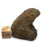 Meteorit NWA X 31,5 g