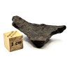 Meteorit NWA X 10,6 g