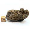 Meteorit NWA X 66,5 g