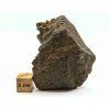 Meteorit NWA X 66,5 g