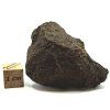 Meteorit NWA X 36,2 g