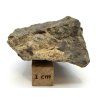 Meteorit NWA X 42,1 g
