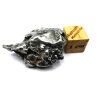 Meteorit Campo del Cielo  21,7 g