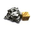 Meteorit Campo del Cielo  21,7 g