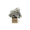 Meteorit Campo del Cielo  15,7 g