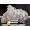 Meteorit Muonionalusta 1079 g / koncový řez