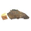 Lunární meteorit NEA 089 / 2,1 g / řez