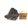 Lunární meteorit NEA 089 / 0,5 g / řez