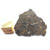 Lunární meteorit NEA 089 / 2,3 g / řez