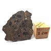 Lunární meteorit NEA 089 / 1,1 g / řez
