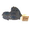 Lunární meteorit NEA 089 / 1,7 g / řez